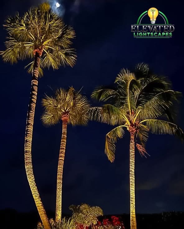 Landscape Lighting in Valdosta, Ga